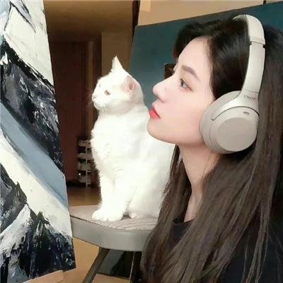 风云战国之枭雄